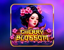 Cherry Blossom